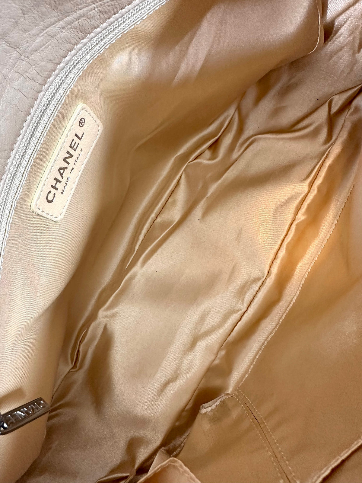 Chanel python single flap bag metallic