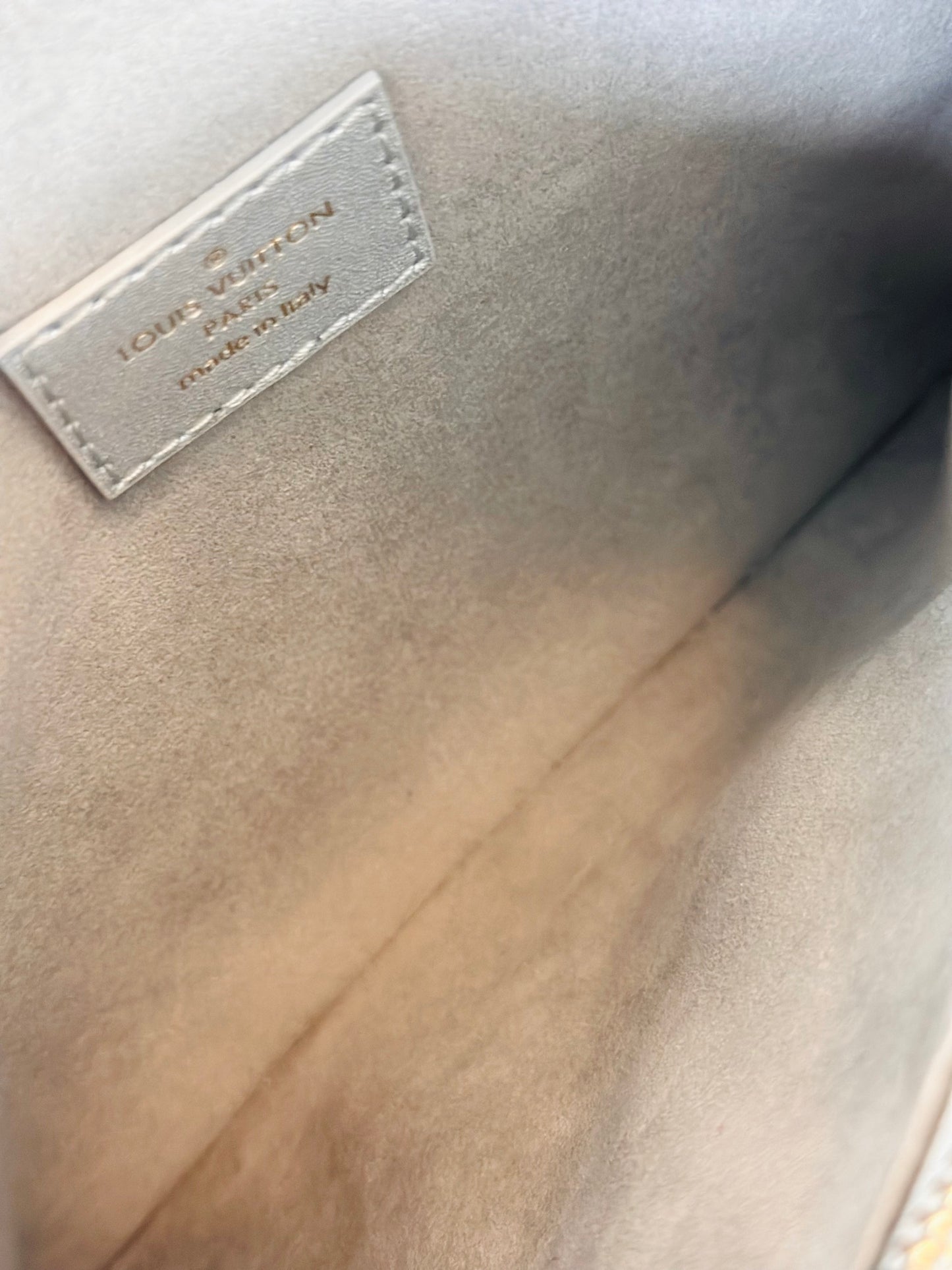Louis Vuitton Coussin PM
