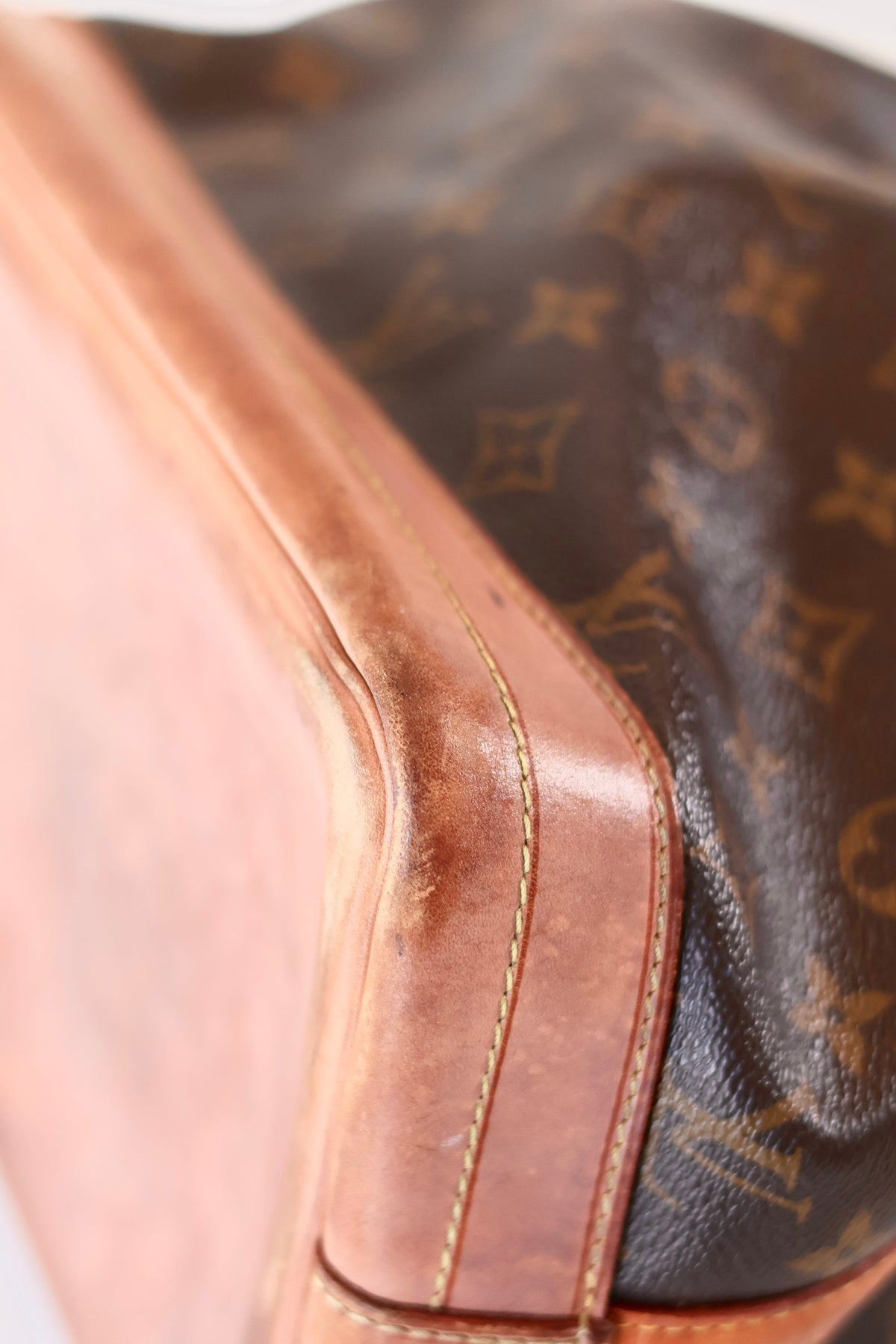 Louis Vuitton Noé Monogram