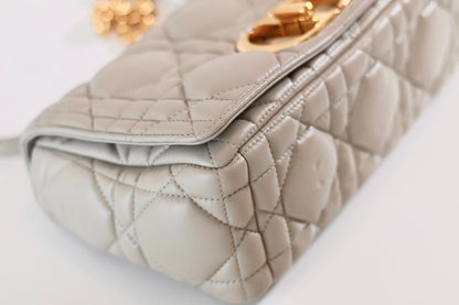 Dior Caro Bag