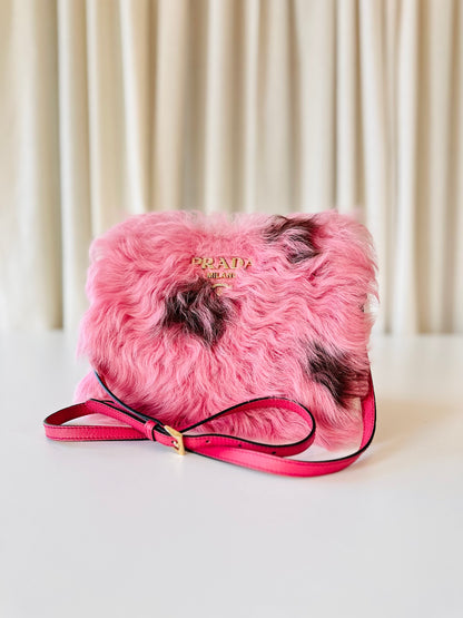 Prada Pony Hair crossbody bag
