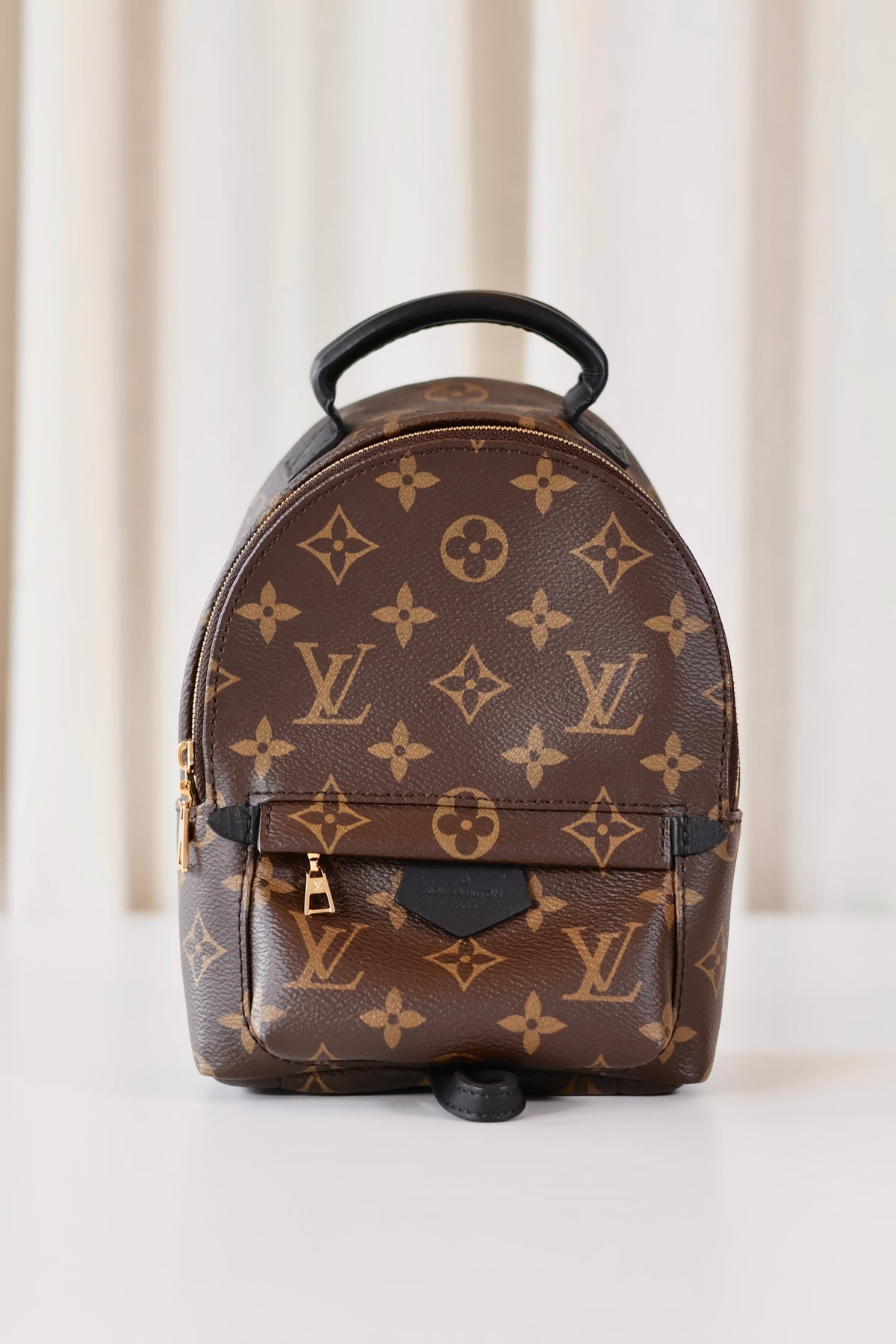 Louis Vuitton Palm Springs Backpack Mini Monogram