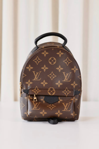 Louis Vuitton Palm Springs Backpack Mini Monogram