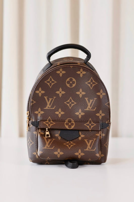Louis Vuitton Palm Springs Backpack Mini Monogram