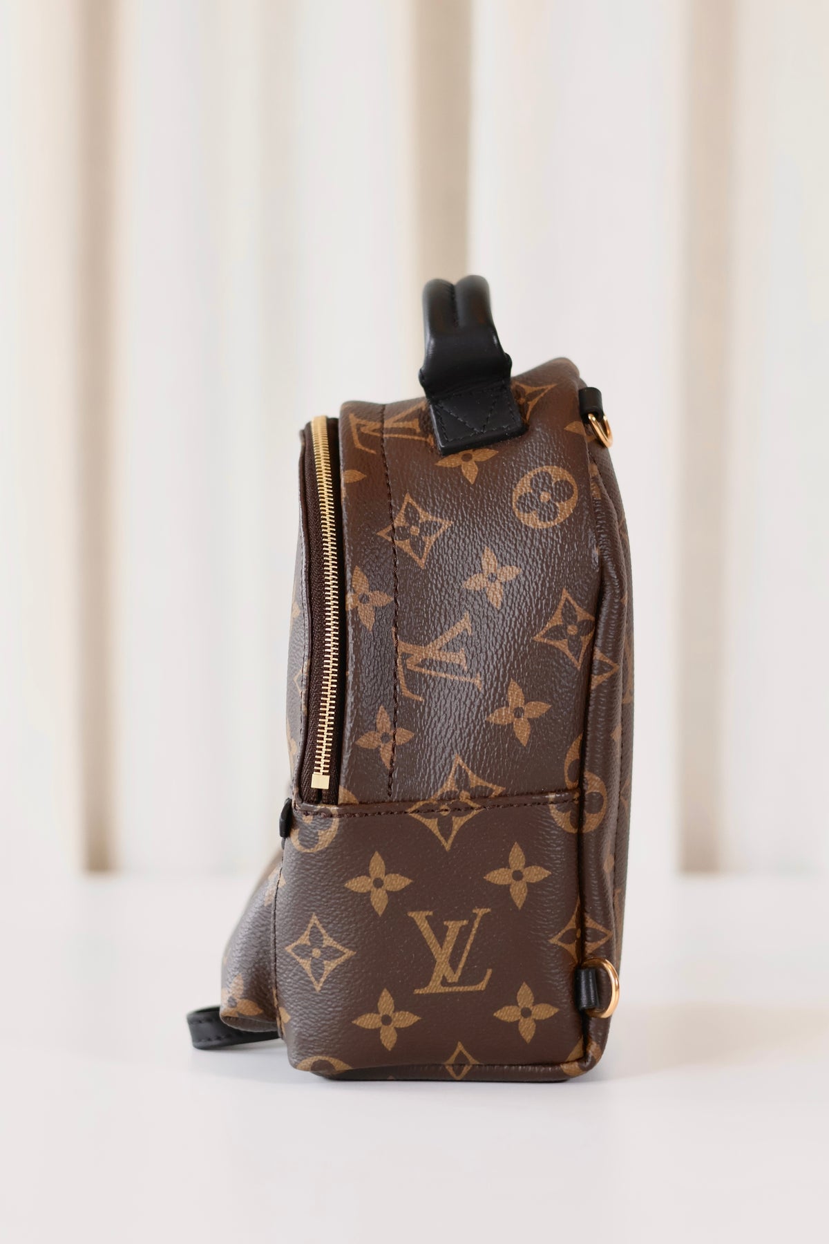 Louis Vuitton Palm Springs Backpack Mini Monogram