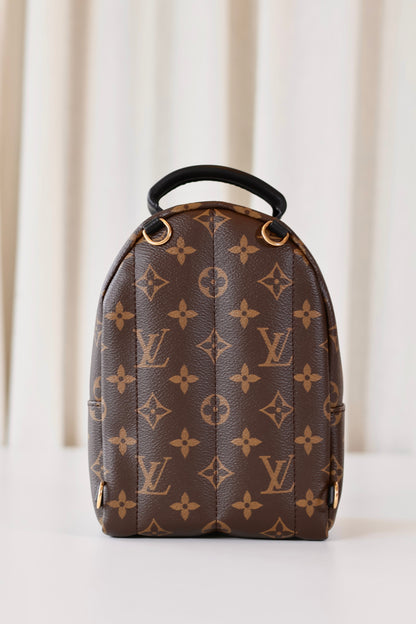 Louis Vuitton Palm Springs Backpack Mini Monogram