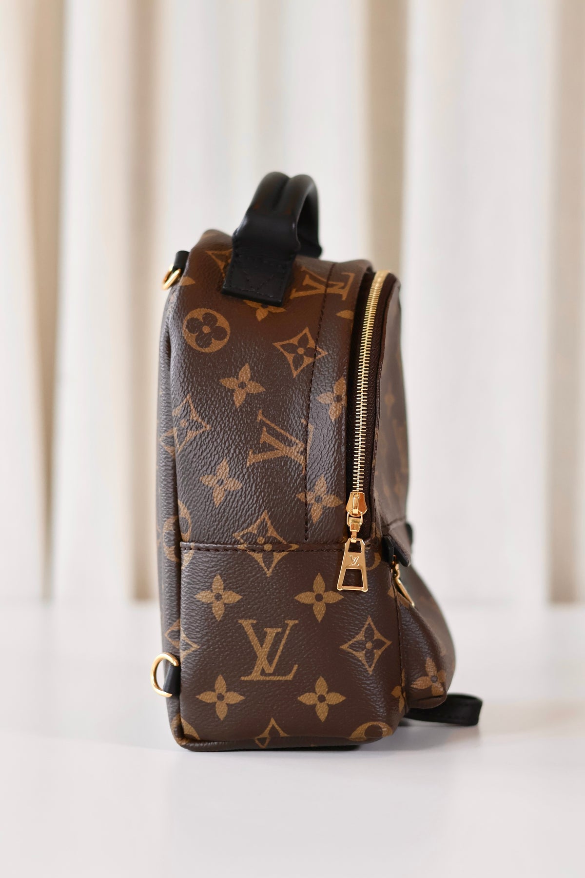 Louis Vuitton Palm Springs Backpack Mini Monogram