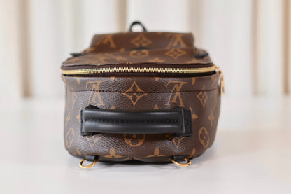 Louis Vuitton Palm Springs Backpack Mini Monogram