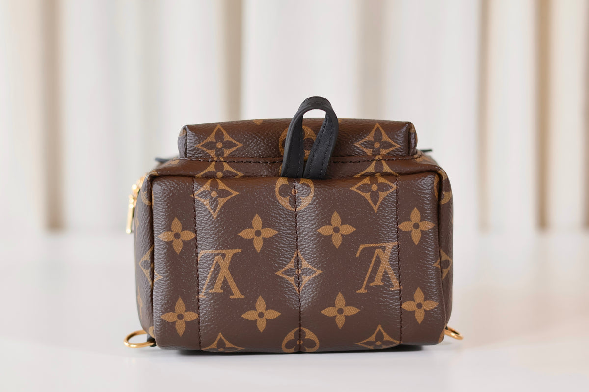 Louis Vuitton Palm Springs Backpack Mini Monogram