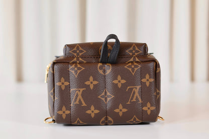 Louis Vuitton Palm Springs Backpack Mini Monogram