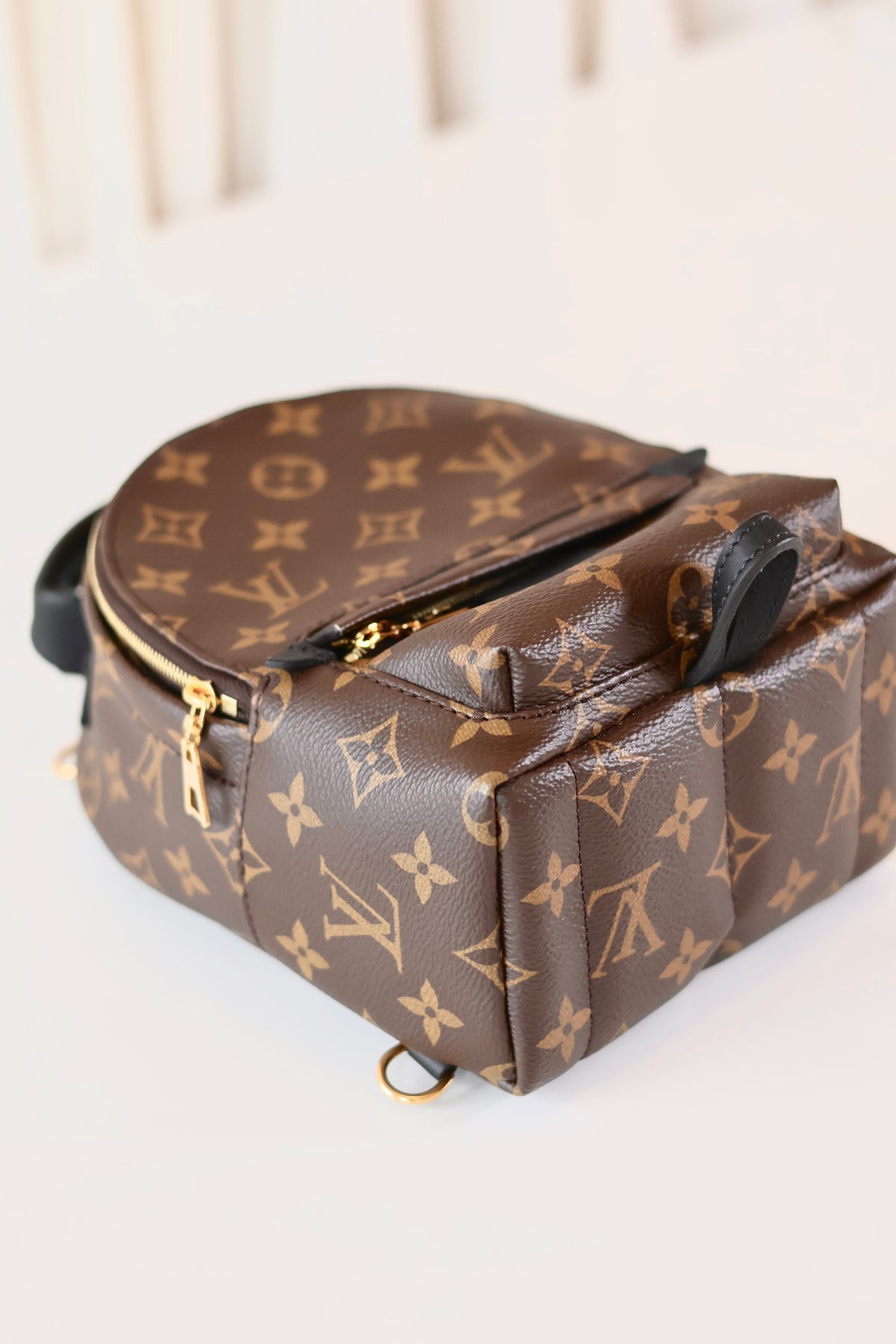 Louis Vuitton Palm Springs Backpack Mini Monogram