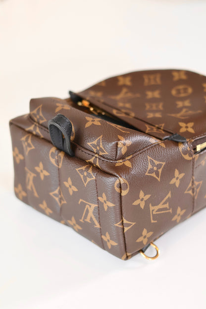 Louis Vuitton Palm Springs Backpack Mini Monogram