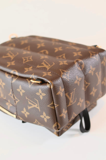 Louis Vuitton Palm Springs Backpack Mini Monogram