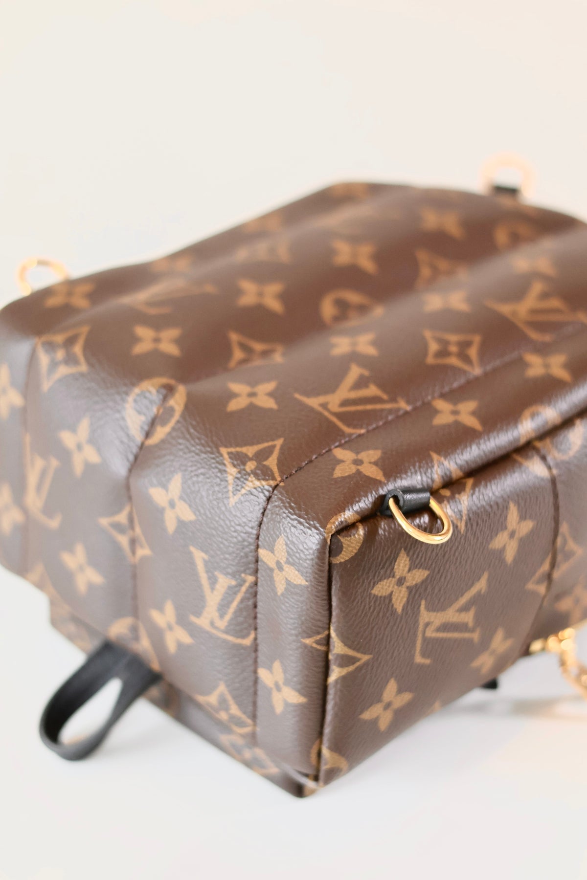 Louis Vuitton Palm Springs Backpack Mini Monogram