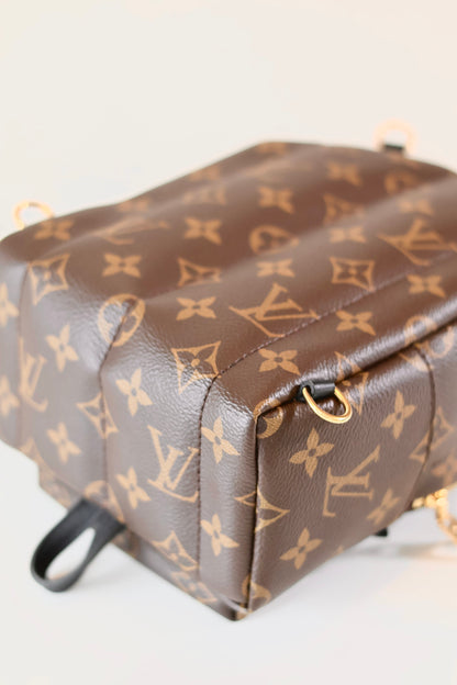 Louis Vuitton Palm Springs Backpack Mini Monogram