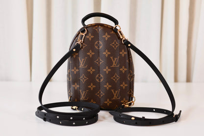 Louis Vuitton Palm Springs Backpack Mini Monogram
