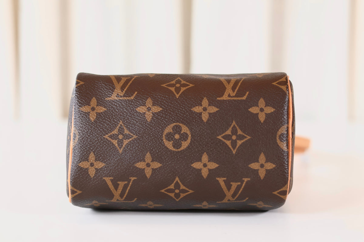 Louis Vuitton Nano Speedy Monogram