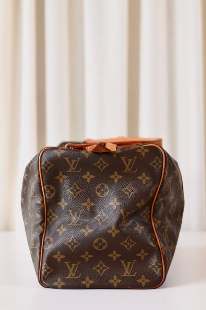 Louis Vuitton Handbag Monogram
