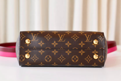Louis Vuitton Cluny Monogram