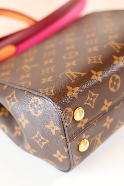 Louis Vuitton Cluny Monogram