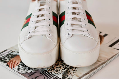 Gucci sneakers white