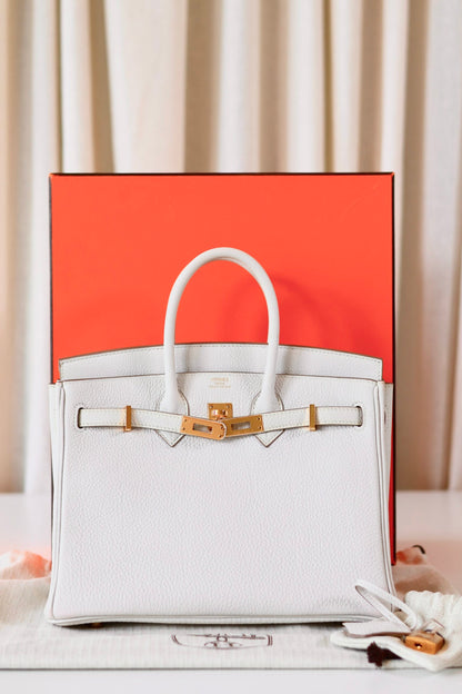 Hermes Birkin 25 Gris Pale