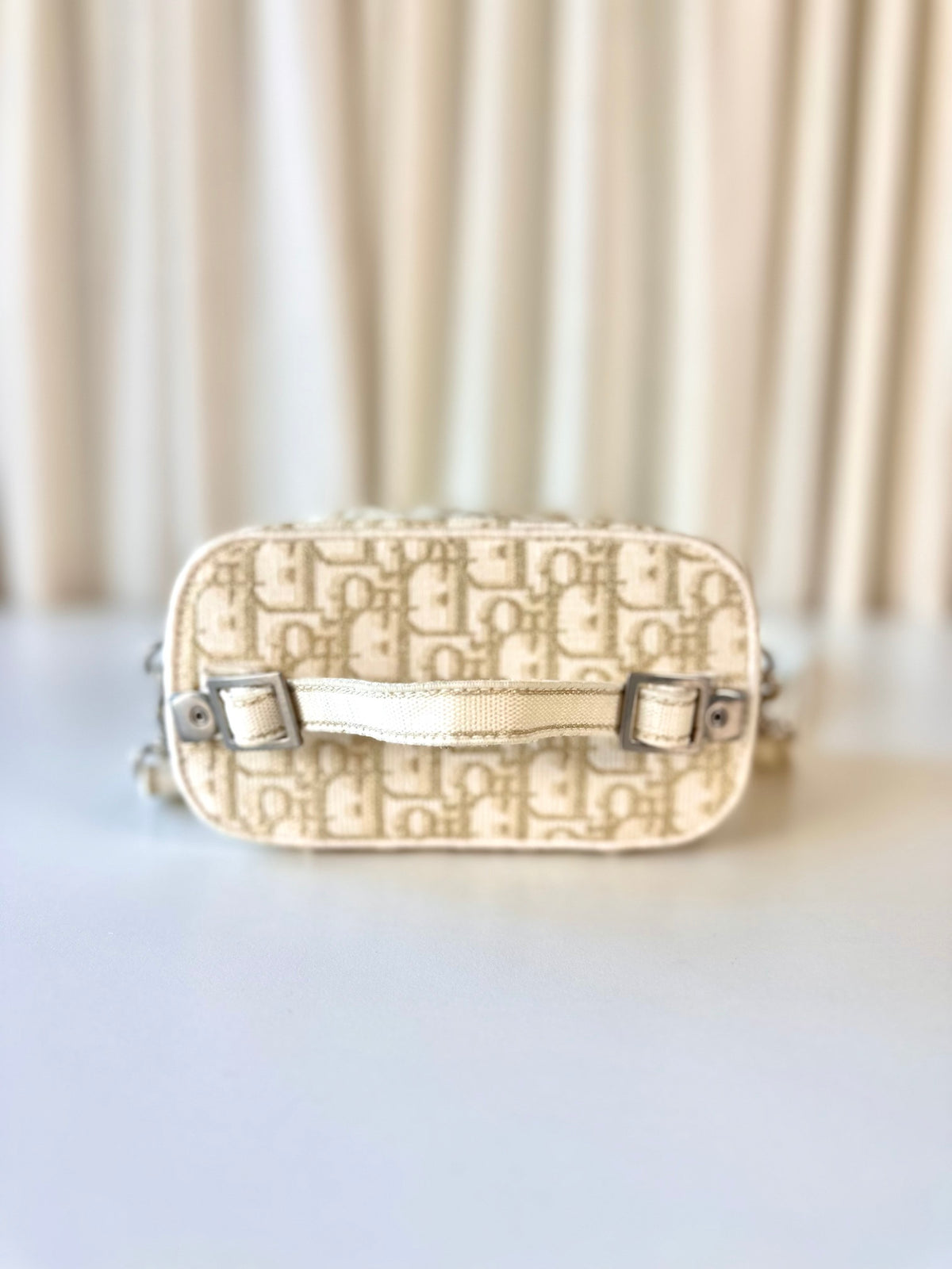 Dior vanity crossbody