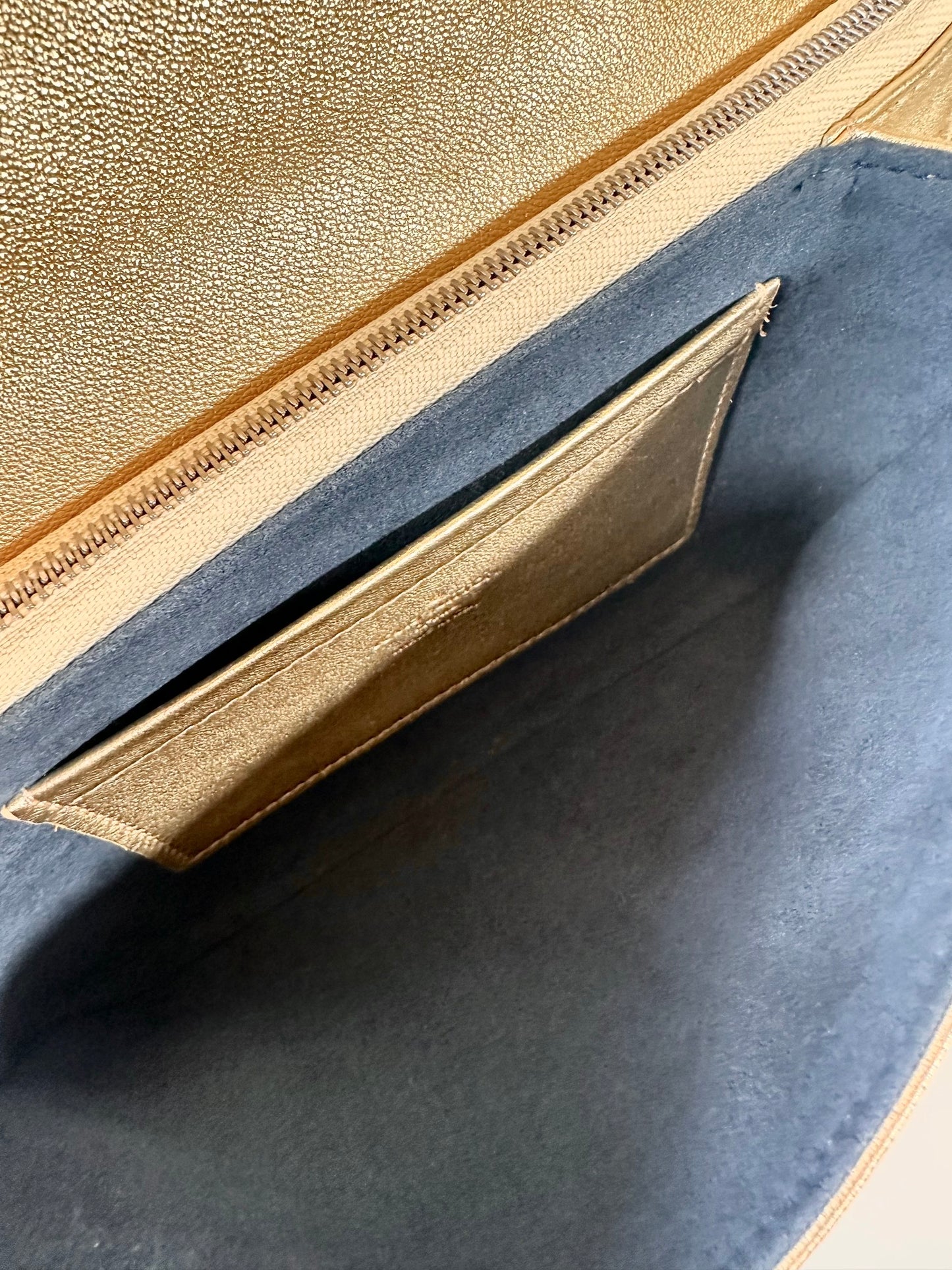 Louis Vuitton Metallic Pochette Coussin