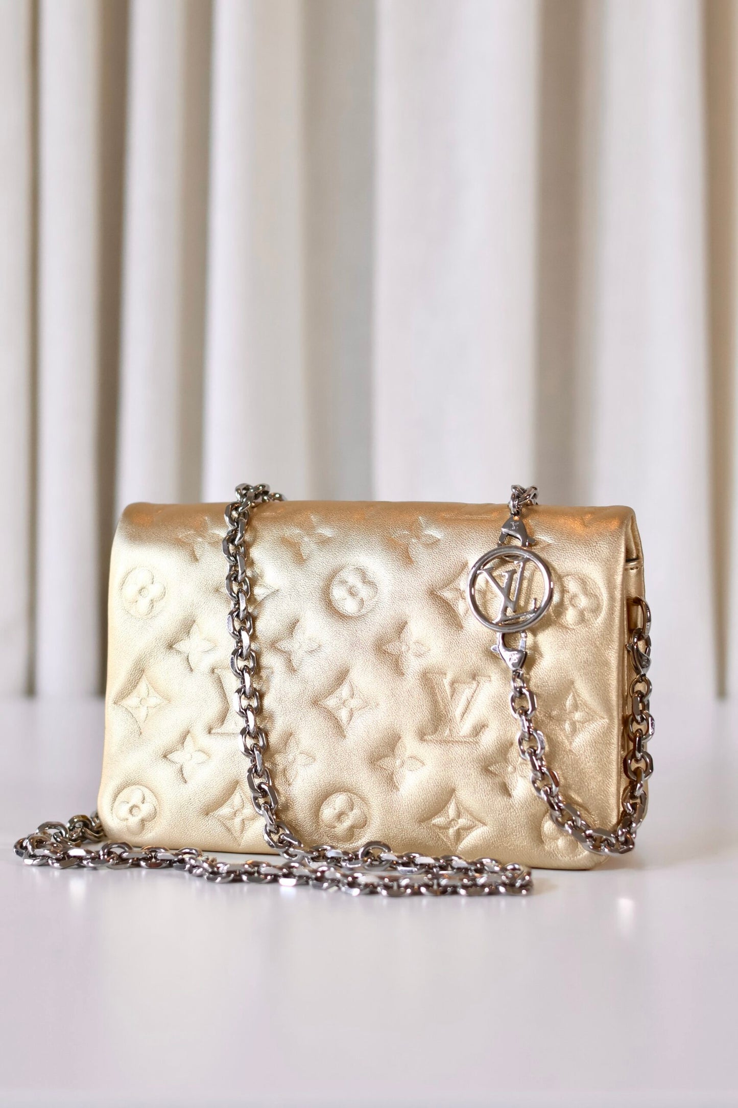 Louis Vuitton Metallic Pochette Coussin