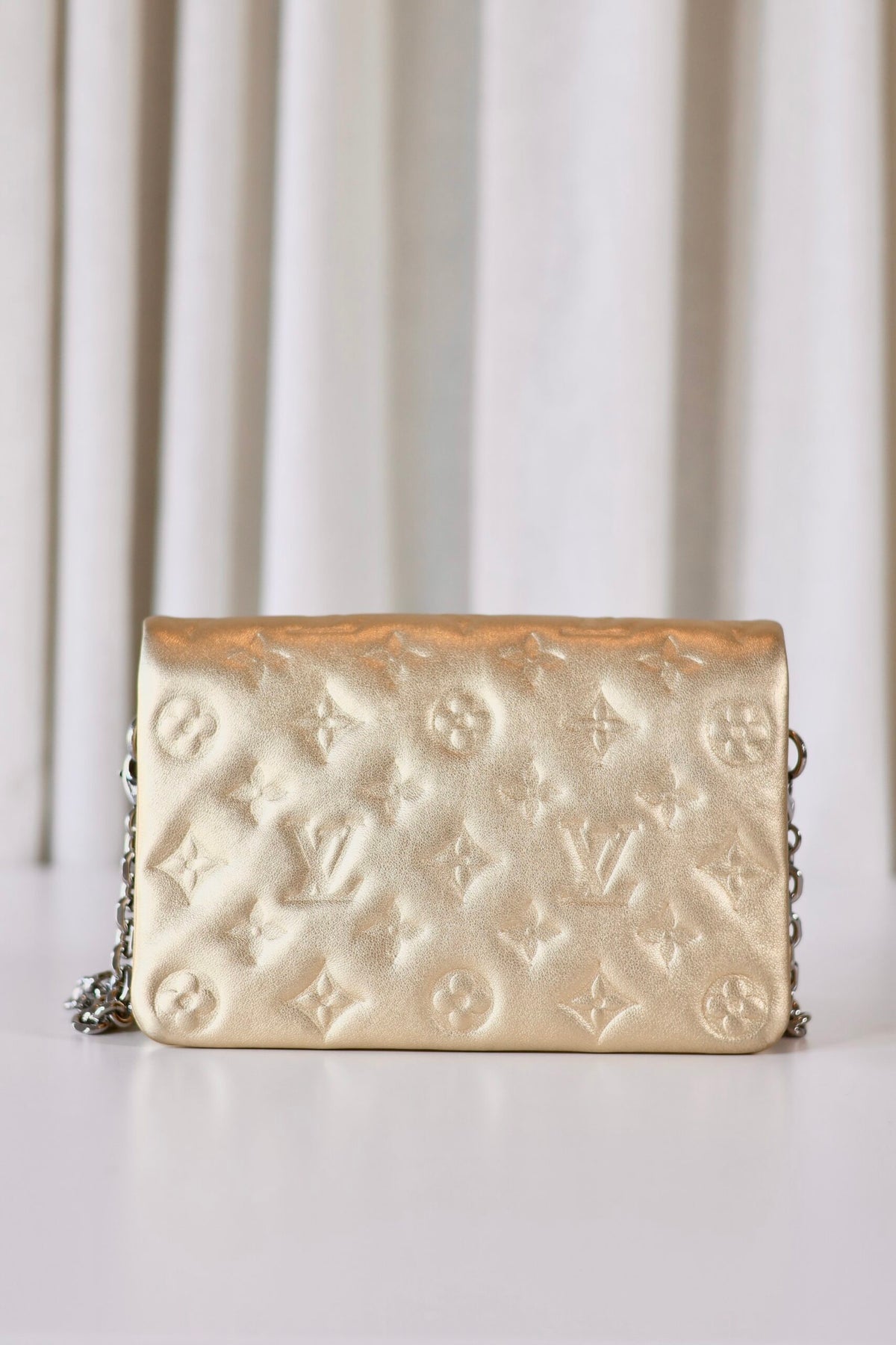 Louis Vuitton Metallic Pochette Coussin
