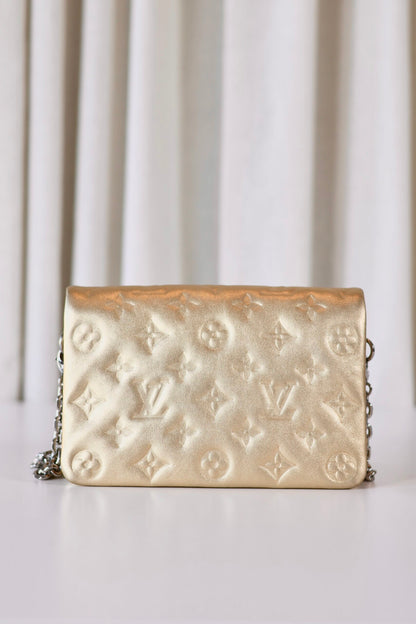 Louis Vuitton Metallic Pochette Coussin