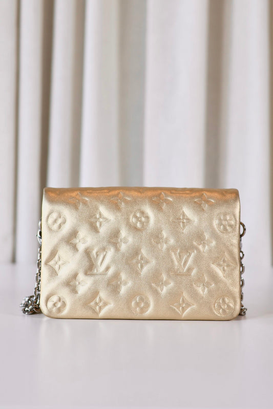 Louis Vuitton Metallic Pochette Coussin