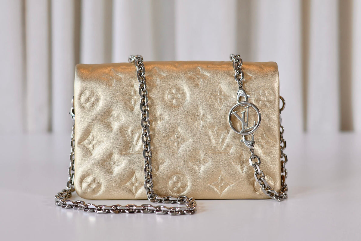 Louis Vuitton Metallic Pochette Coussin