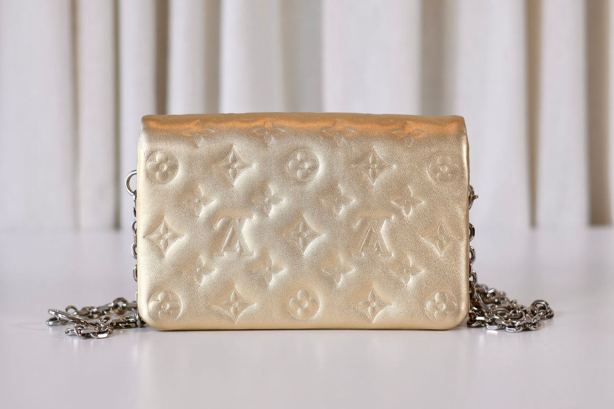 Louis Vuitton Metallic Pochette Coussin
