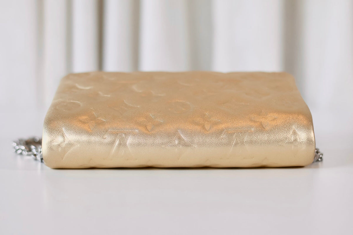 Louis Vuitton Metallic Pochette Coussin