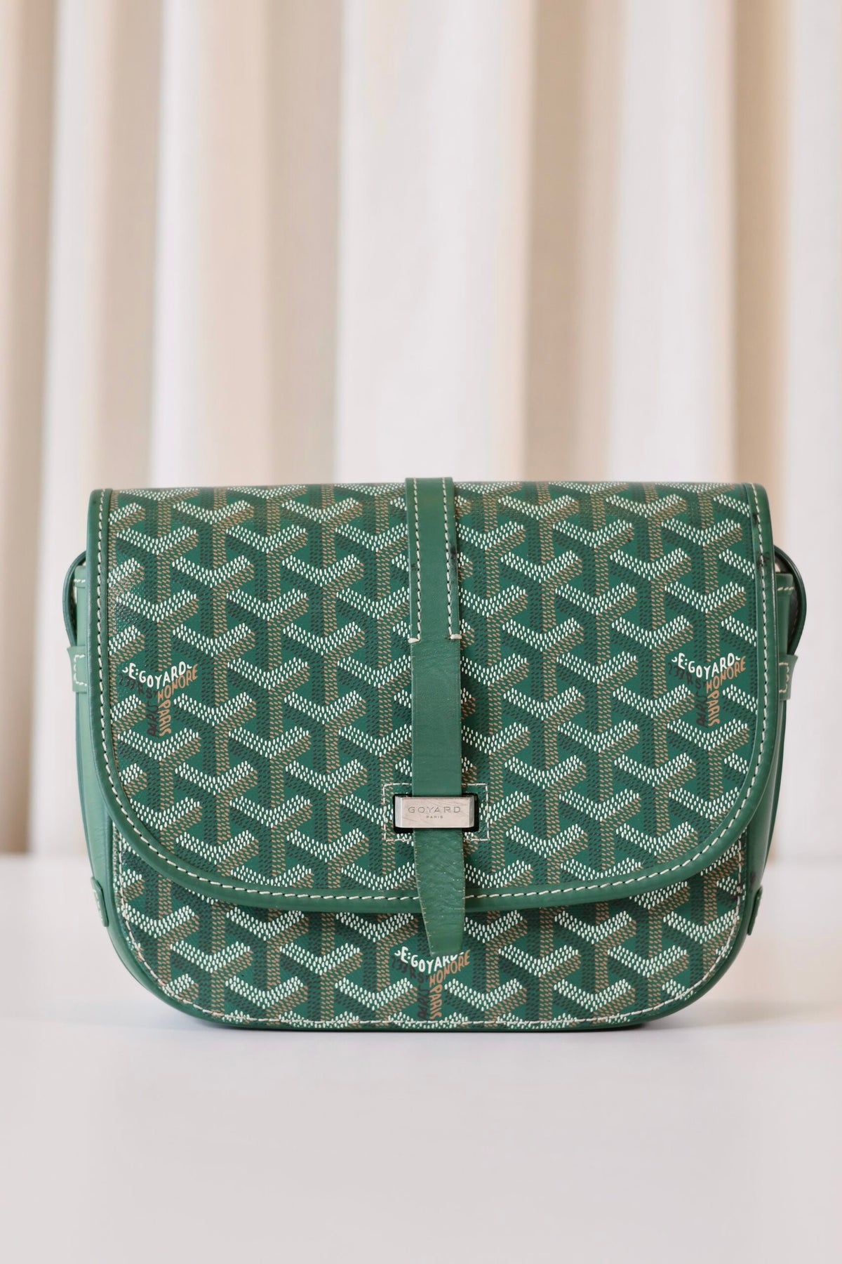 Goyard Belvedere PM Bag Green