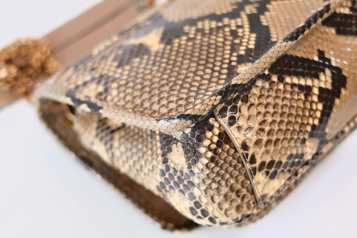 Saint Laurent Niki python leather