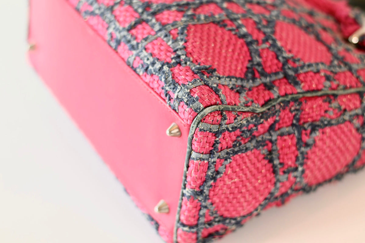 Rare Lady Dior medium pink