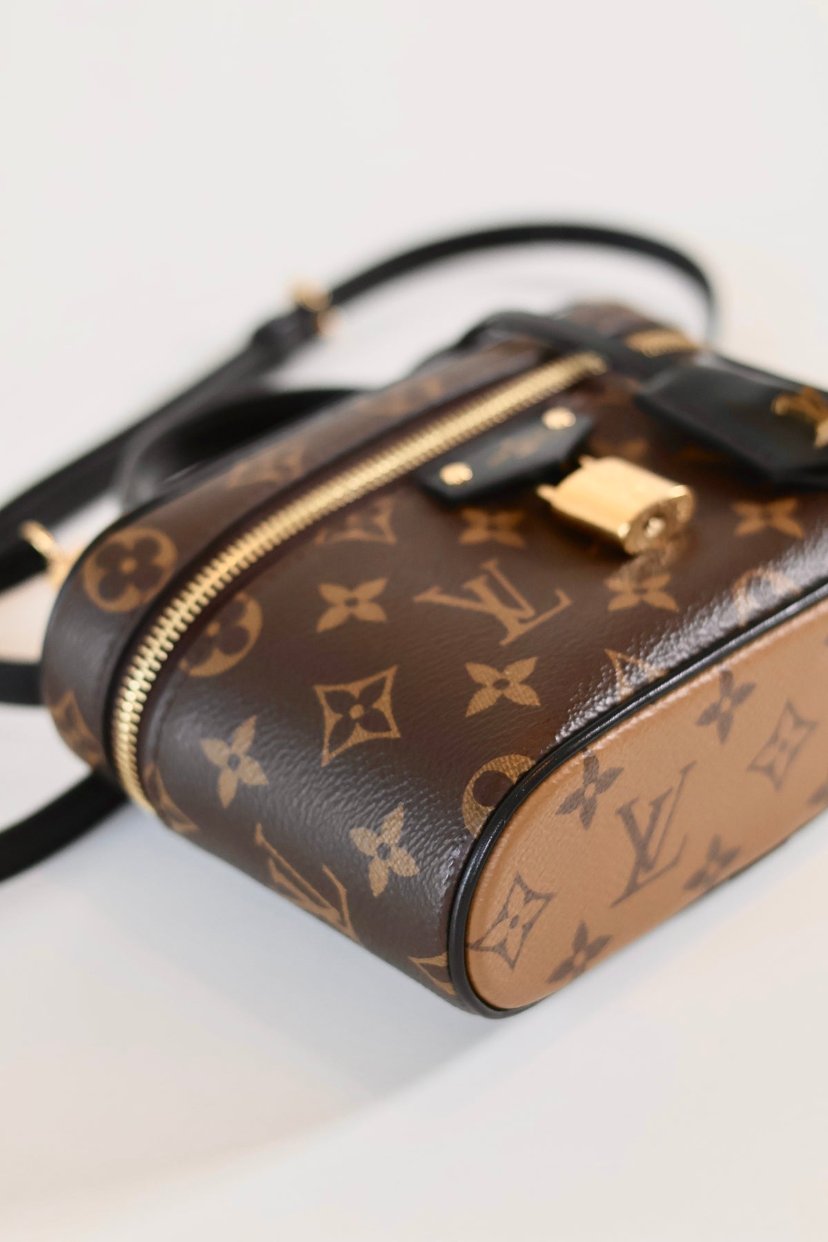 Louis Vuitton Vanity Chain Pouch
