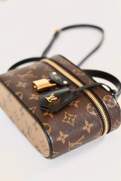 Louis Vuitton Vanity Chain Pouch