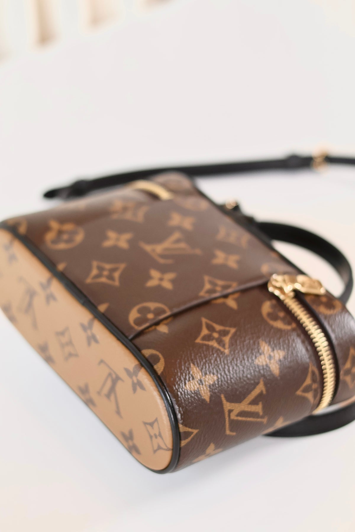 Louis Vuitton Vanity Chain Pouch