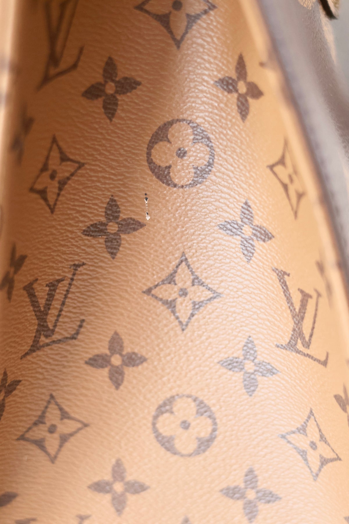 Louis Vuitton On The Go MM