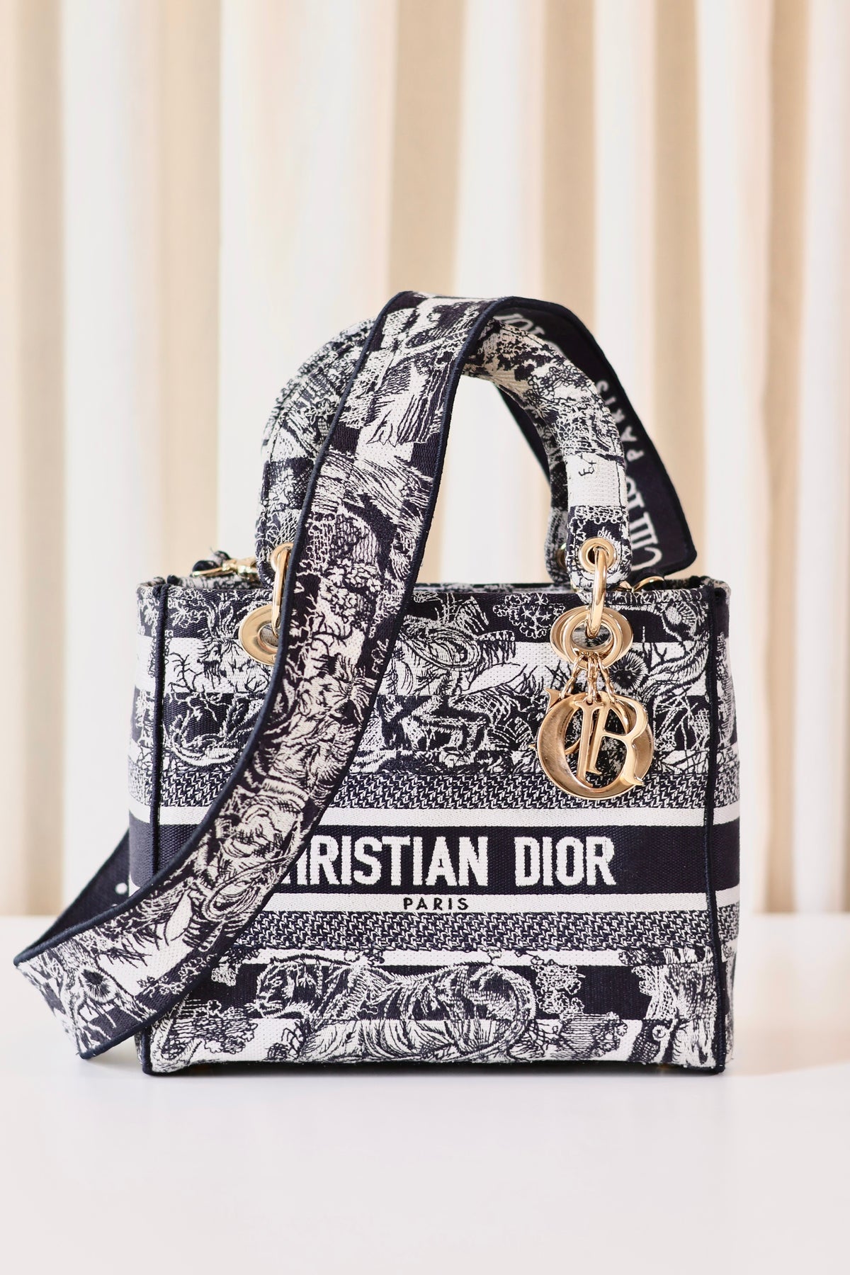 Lady Dior embroidered medium