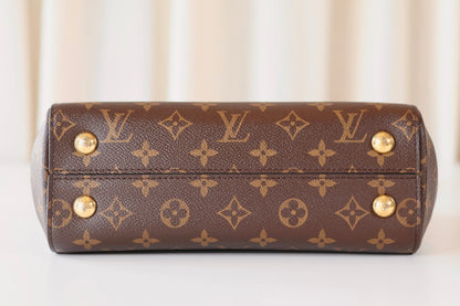 Louis Vuitton Cluny Monogram