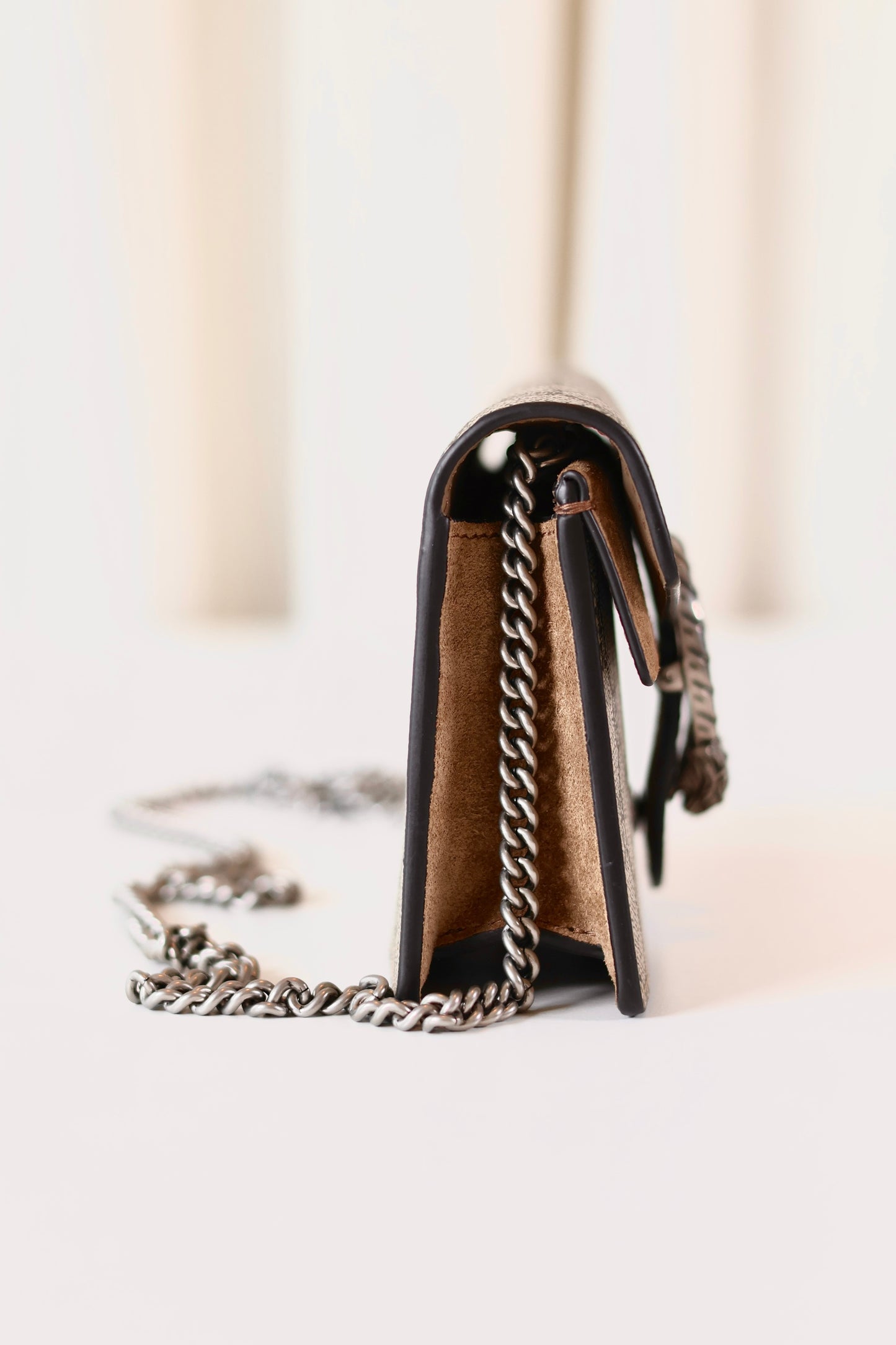 Gucci Dionysus mini