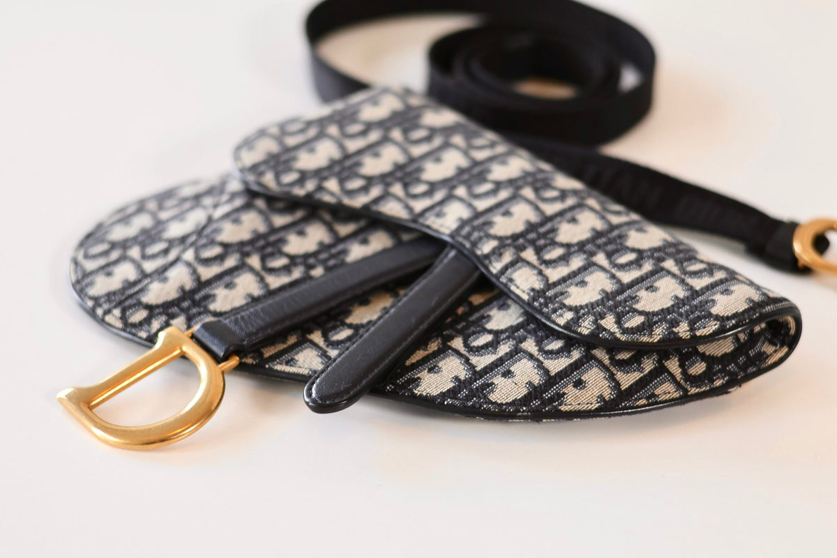 Dior saddle waist bag oblique