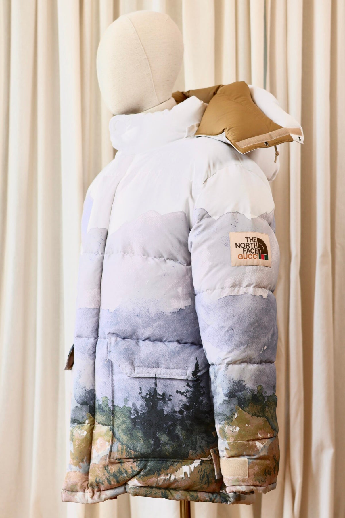 Gucci x The North Face winter jacket M