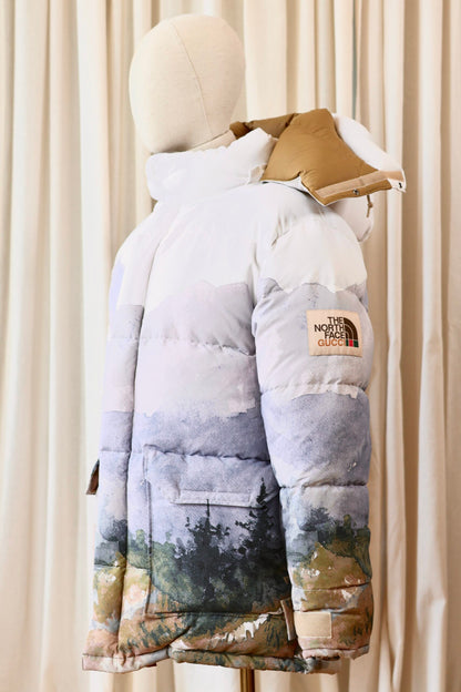 Gucci x The North Face winter jacket M