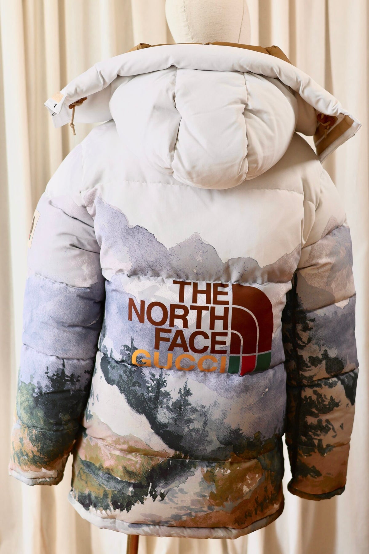 Gucci x The North Face winter jacket M