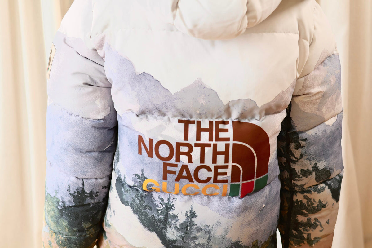 Gucci x The North Face winter jacket M